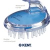 KENT SH1 BLU Scalp Scrubber Hair Brush & Scalp Exfoliator