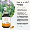 Organic Turmeric Capsules – 40 times Organic Availability without Pepper