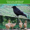 Bird Netting for Garden 13x33ft - Sukh Garden Netting Mesh