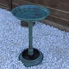 CLGarden Bird Bath VGT1 Bird Bath with Foot for Planting