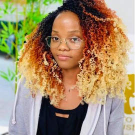 Yanky Twist Crochet Hair - 10 Inch 8 Packs Pre-twisted Spring Twist Ombre Passion Twist Crochet Hair for Black Women (OT1B/30/613#, 10 Inch (Pack of 8))