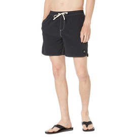 Quiksilver Men's Standard Sun Faded Volley 17 Swim Trunk Boardshort, Ocean Scallop/Black, Small