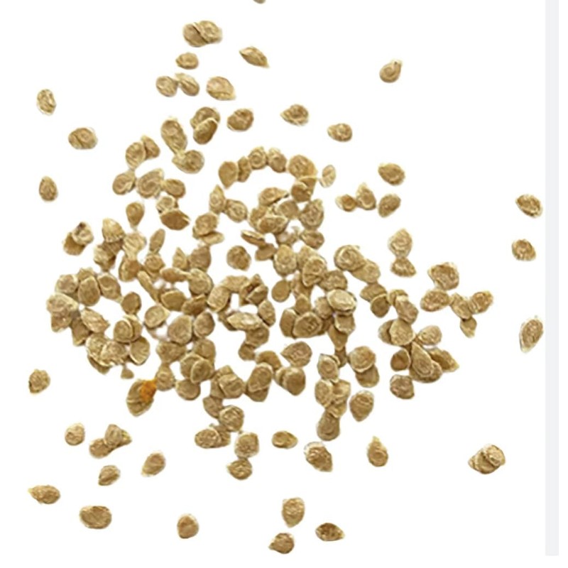 Yellow Pear Tomato Seeds - Delicious Tomatoes for Home Growing