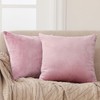 LANE LINEN Faux Velvet Synthetic Down Filled Throw Pillow Inserts/Decorative