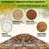 DUSPRO Recycle Citrus Tree Potting Soil Mix for Potted Lemon
