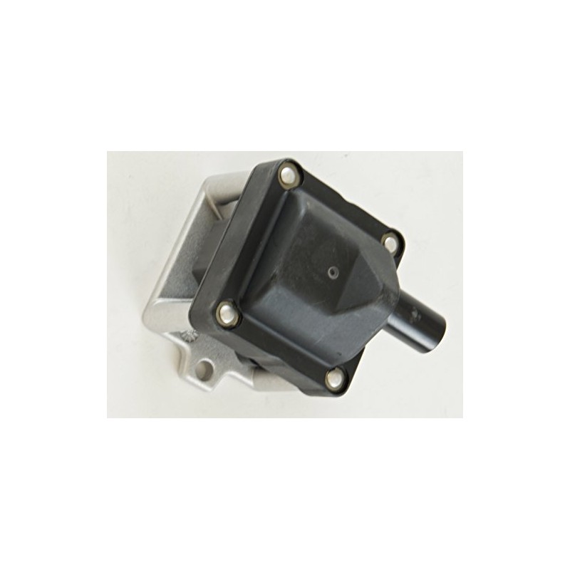 Formula Auto Parts IGC110 Ignition Coil