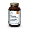 PURICA PURICA Organic Chaga Micronized Mushroom Blend 100g Powder 27