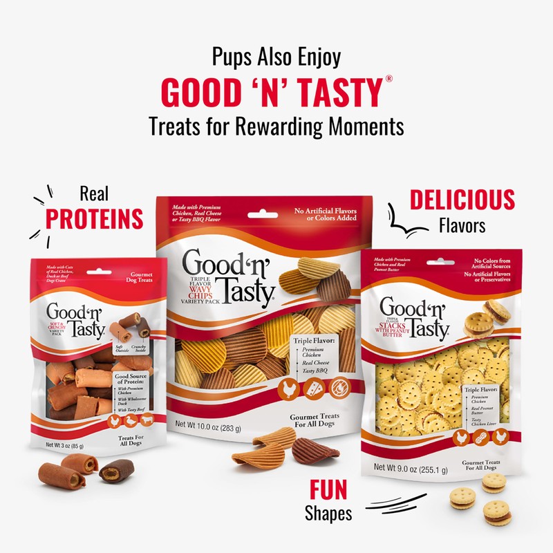 GOOD 'N' FUN Double Pops Long-Lasting Dog Treat, with Real