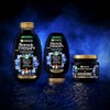 Garnier Botanic Therapy Activated Carbon and Black Cumin Oil Hair