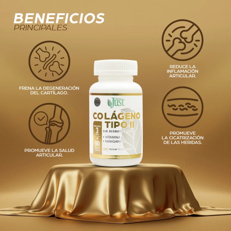 Colágeno Tipo 2 Premium. Sin Desnaturalizar 90 Cápsulas Olnatura Just