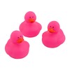 Fun Express Pink Rubber Ducks - 12 Piece