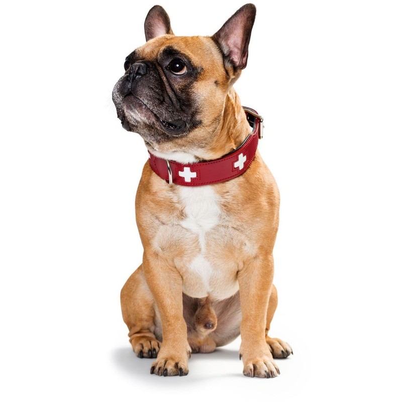 HUNTER SWISS Hundehalsband, Leder, hochwertig, schweizer Kreuz, 37 (XS-S), rot/schwarz