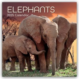 Elephants – Elefanten 2025 – 16-Monatskalender: Original The Gifted Stationery Co. Ltd [Mehrsprachig] [Kalender] (Wall-Kalender)