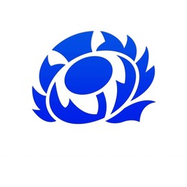 Scottish Thistle Sticker, Vinyl Decal Sticker, Car Window Bumper Sticker, Window Bumper Sticker, Scotlanf Rugby Sticker, Caravan Sticker, Funny Car Sticker 150mm