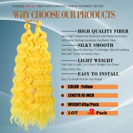 CTRLALT Purple Ocean Wave Braiding Hair 16 Inch Curly Braiding hair Wet and Wavy Braiding Hair Ocean Wave Crochet Hair Extensions(16inch, 2pack, Purple)