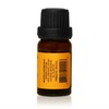 Ceylon Cinnamon Bark Oil - 10ml (0.33oz) net - Steam