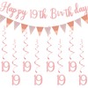 Elicola 19th Birthday Banner for Girls Happy 19th Birthday with
