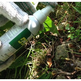 Nihon Carlit Kudzu Colon Liquid 100ml Weed Control Agent