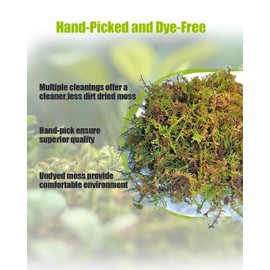 Helidrago Sphagnum Moss for Reptile, Reptile Tank Accessories, Terrarium Substrate Bedding for Geckos, Hermit Crab, Frog, Snake, 5.3OZ