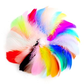 Rumyve 100-Piece Craft Feathers - Colorful Feathers for DIY Crafts, Gift Box Fillers, and Decorations (Multicolor)