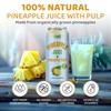 Vinut Natural Pineapple Juice Drink with Pulp, (16.57 fl oz,