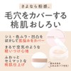 Cezanne Seamless Cover Powder 01 Foggy Beige 4.5g Face Powder
