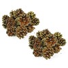 Black Duck Brand 30 x Christmas Glitter Frosted Pine Cones