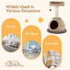 PETSITE Modern Cat Tree Tower, Paper Rope Natural Bowl Shaped