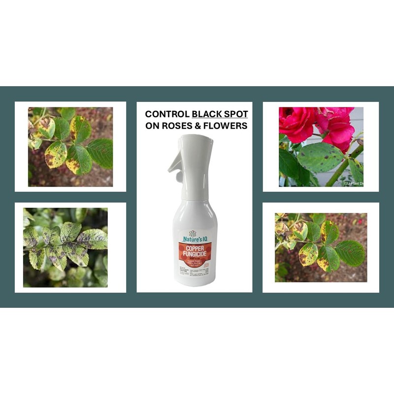Nature's IQ Copper Fungicide. Innovative Spray Mist Technology. Controls powdery