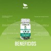 Chlorella, 300 Cápsulas (3 Frascos 100 Cap C/u) Sabor Natural