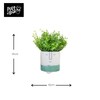 KitchenCraft Planter, Green Ombre, One Size