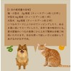 Tezukayama Hound Cam Hydration Soup for Dogs, Natural, Additive-Free Handmade