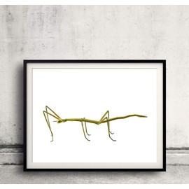 Sewing Machine Check Spring 66774