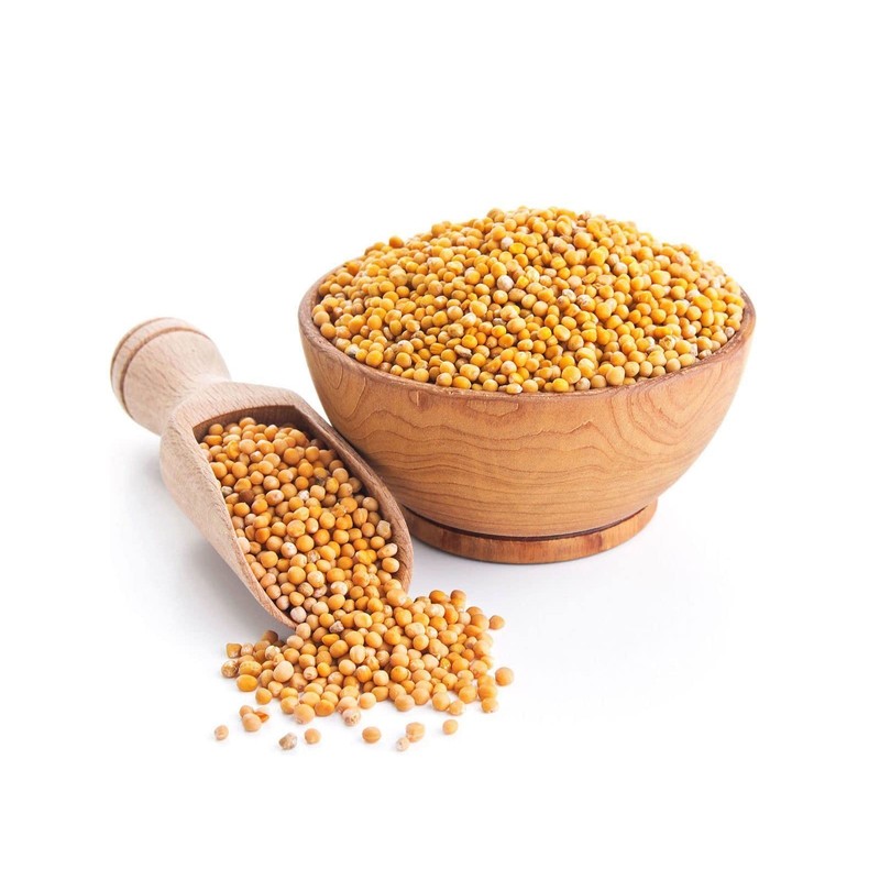 CEMEHA SEEDS - Seeds Yellow Mustard Non GMO Vegetable for