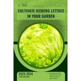 Cultivate Iceberg Lettuce in Your Garden: Guide and overview