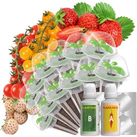 LYKOCLEAN Strawberry Seed Pods for AeroGarden, Ahopegarden, iDOO Hydroponics Growing System, 350 Seeds+ Including Red Cherry Tomato Golden Cherry Tomato, White Strawberry, Red Strawberry (12-Pods)