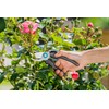 GARDENA EcoLine garden secateurs: Durable secateurs with bypass blade, with