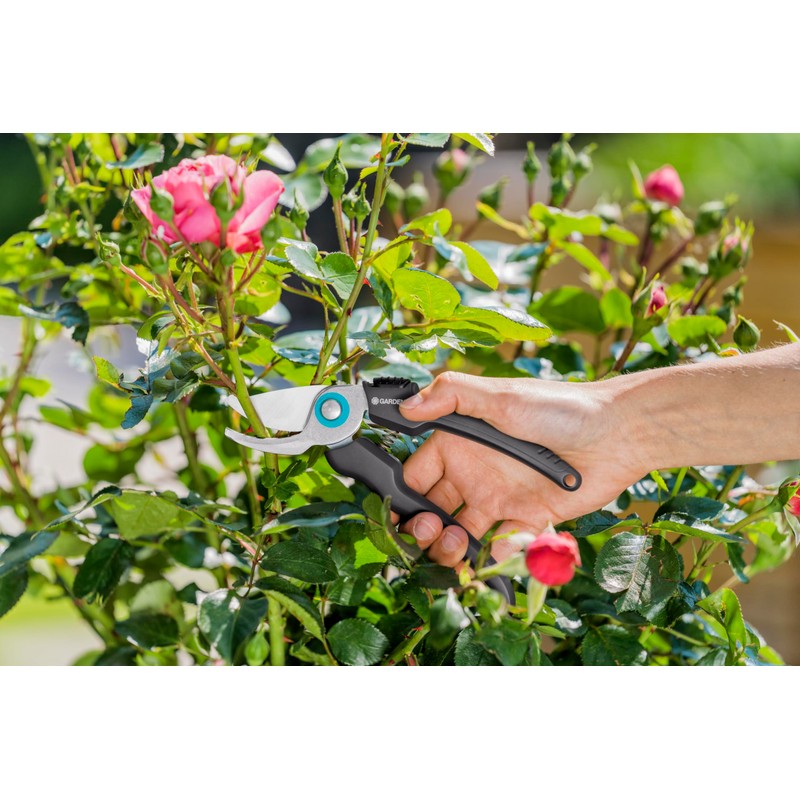 GARDENA EcoLine garden secateurs: Durable secateurs with bypass blade, with