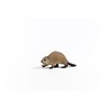 Schleich Wildlife Beaver 14855