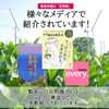 [Fragrant Japanese Tea] Incense Azuma Kitsusako Green Tea Ichiban Tea