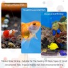 AIMALL 3PCS Dual-Mesh Baby Brine Shrimp Sieve Set, 80 &