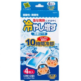 Cool Cooling Extra Seat 4 Piece Adult Mint Scent