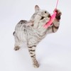 Petio Cat Toy for Kittens Peel Off Fish Cat
