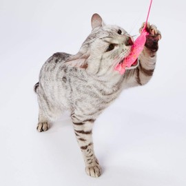 Petio Cat Toy for Kittens Peel Off Fish Cat
