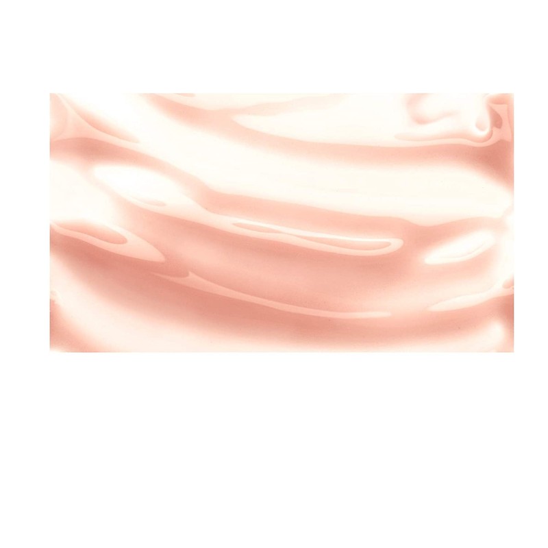 Burt's Bees 100% Natural Moisturizing Lip Shine, Whisper, 0.5 Ounce