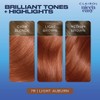 Clairol Nice'n Easy Permanent Hair Dye, 7R Lighest Auburn Hair
