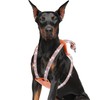 WOOFUU Rhinestone Dog Harness, Orange Leather No Pull Vest with