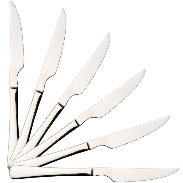 H HANSEL HOME 6 Steak Knives, Meat Knives, 22.5 x 2.05 cm, High-Gloss Polished Stainless Steel 18/0