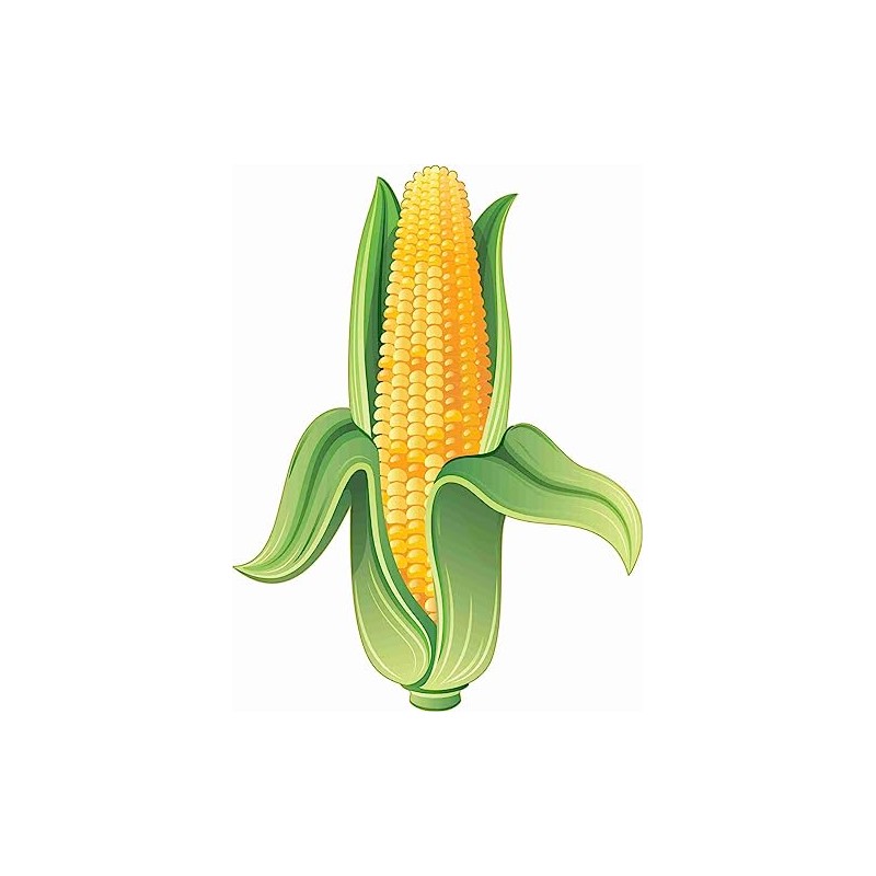 StickerTalk Corn on The Cob Sticker, 4.5 inches by 6