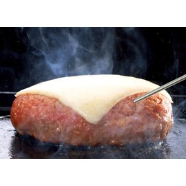 ドリテック 防滴クッキング温度計 シルバー O-207SV